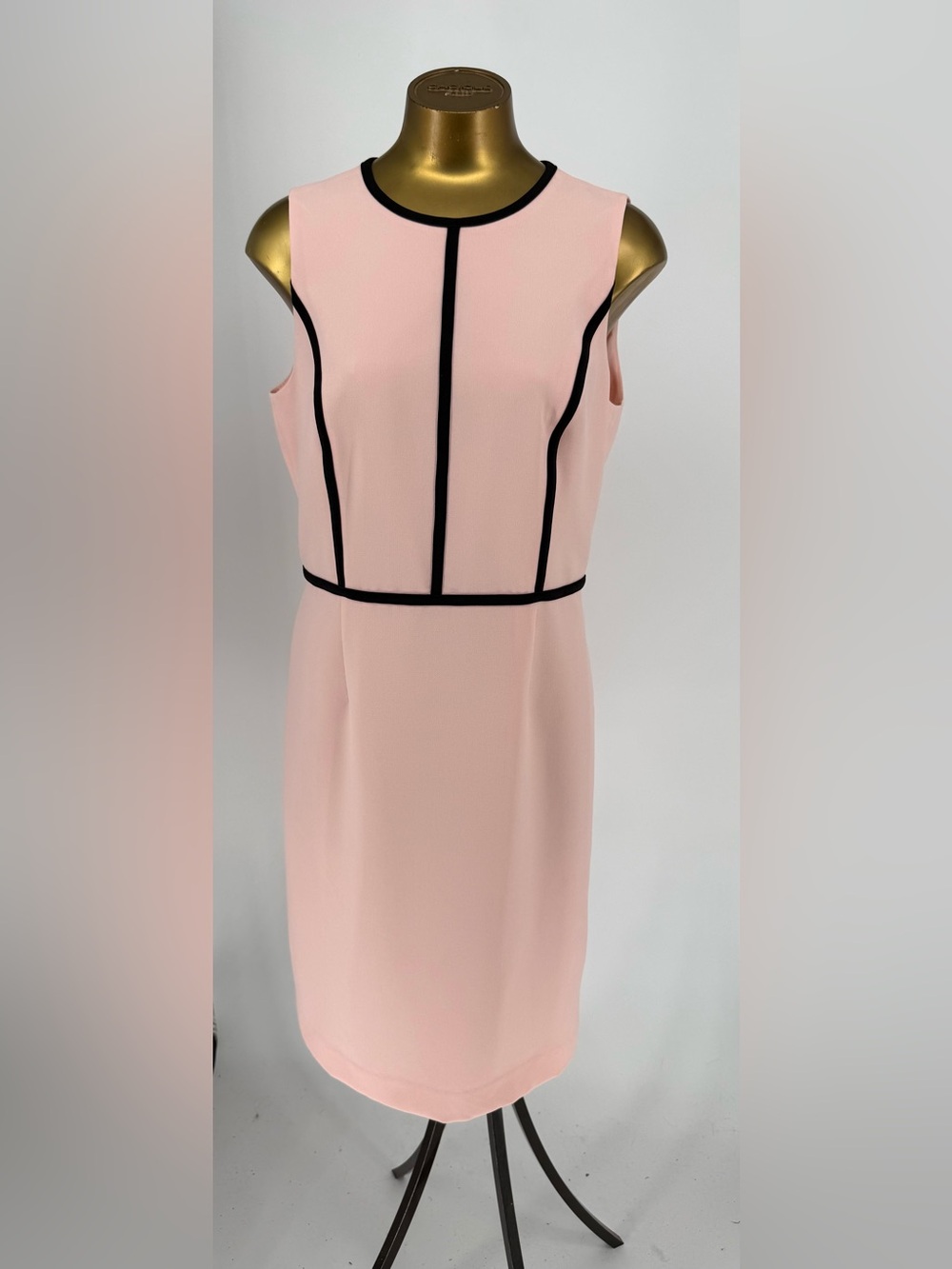 Evan Picone Black Label Blush Pink Sheath Dress with Black Trim Size 10